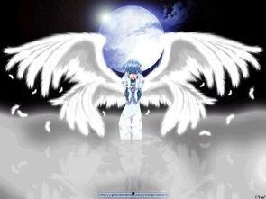 天使 动漫,探寻信仰与勇气的翅膀之旅